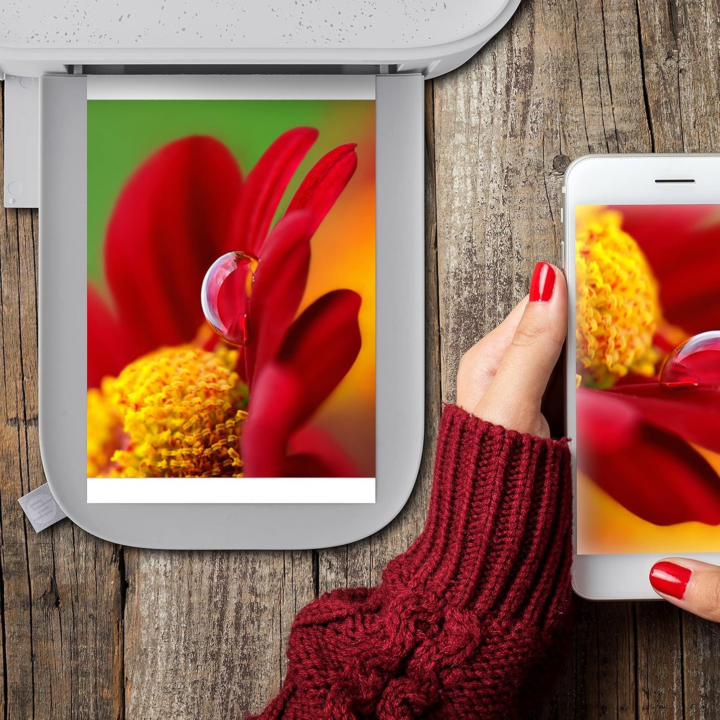 HP | 108 Sheets - HP Sprocket Studio Plus 4x6 - 2 Paper Cartridges