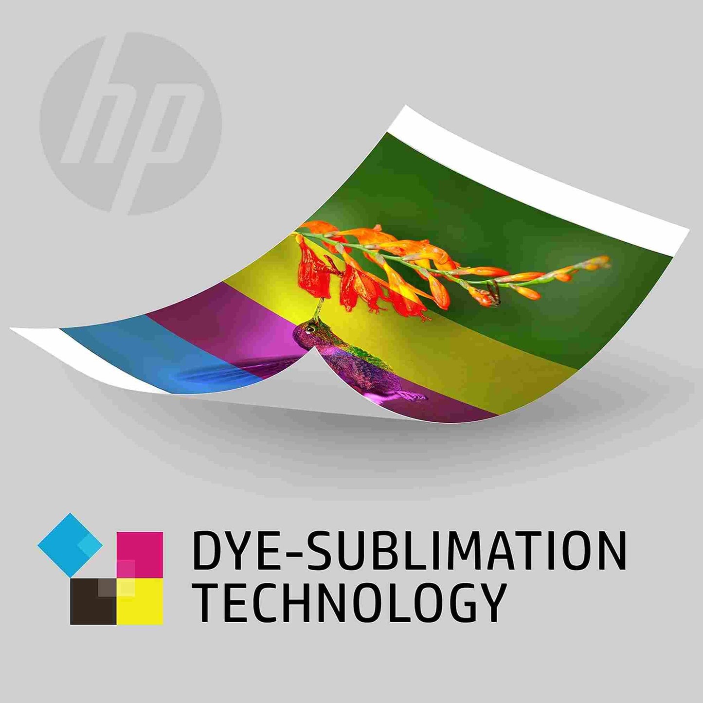 HP | 108 Sheets - HP Sprocket Studio Plus 4x6 - 2 Paper Cartridges