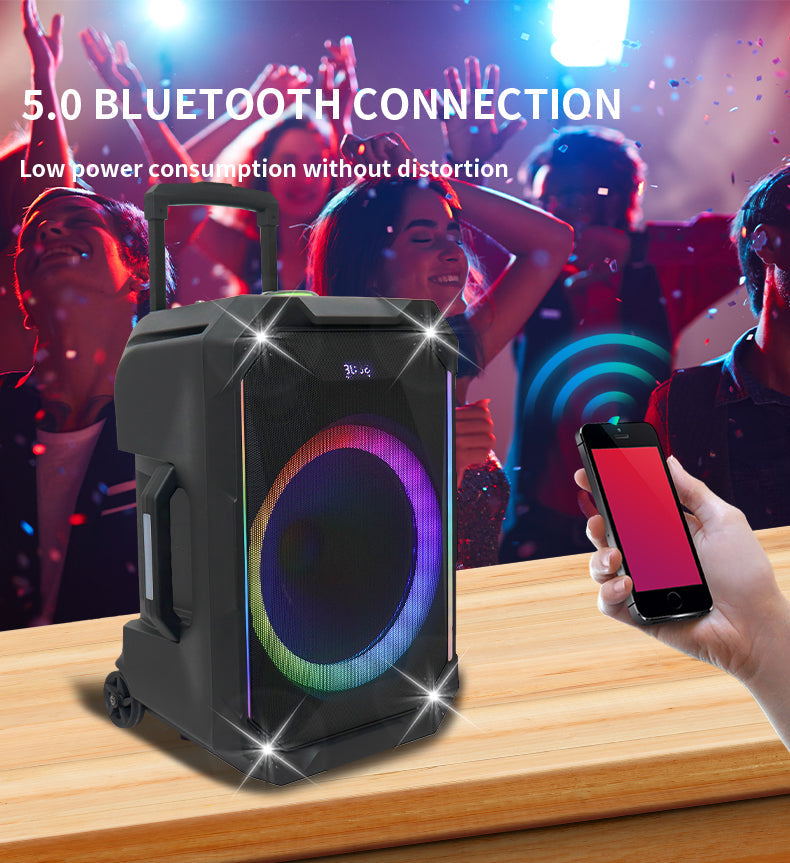 N-Gear | The Flash 1240 12 Inch Speaker Karaoke with Disco Light And Microphone