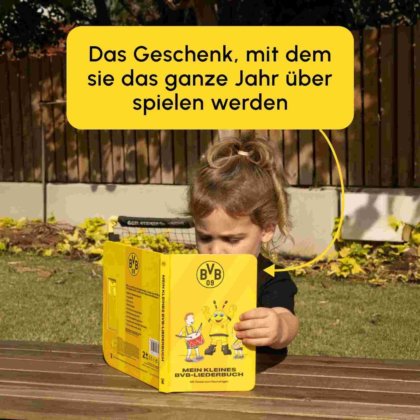 Fans Legacy Burussia Dortmund BVB Fan Chants Sound Book