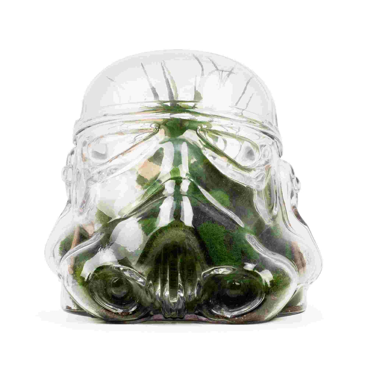 Thumbs Up Star Wars Original Stormtrooper Cookie Jar/Terrarium