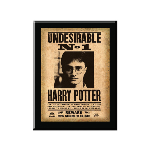 Harry Potter | Harry Potter Undesirable Plaque - xploregifts