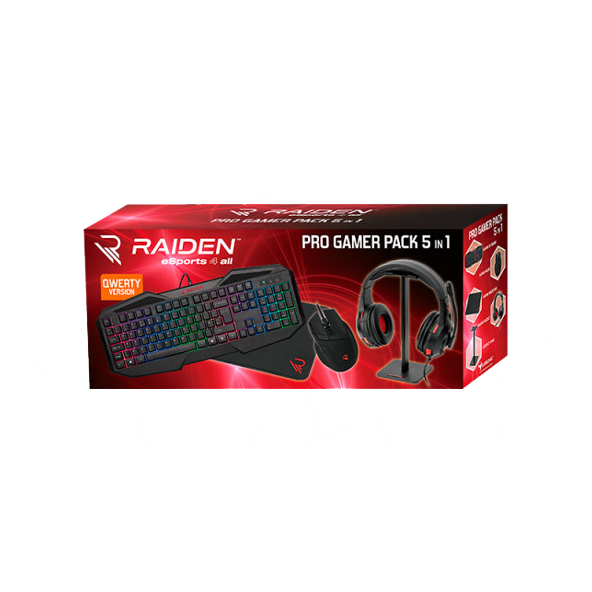 Raiden |  5 in 1 Gaming Accessory Pack for PC - qwirkyshop